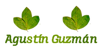 Agustin Guzman
